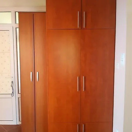 Apartment Simonovic Soko Banja