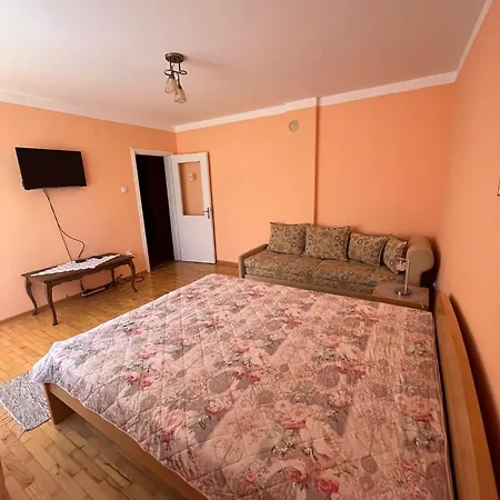 Simonovic Apartment Soko Banja