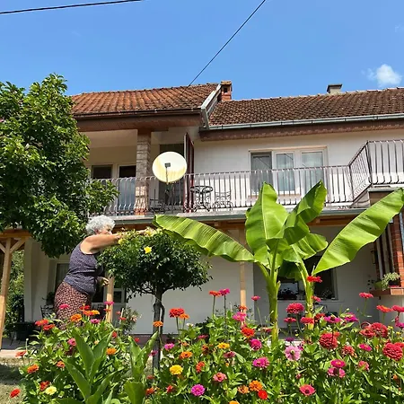 Simonovic Apartment *