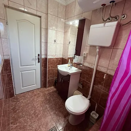 Apartment Simonovic Soko Banja