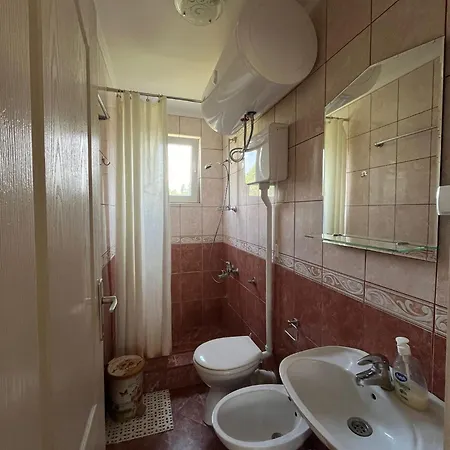 Simonovic Apartment Soko Banja