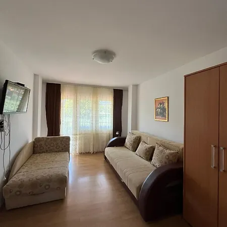Apartment Simonovic Soko Banja